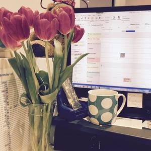 Meet your Posher, Vanessa